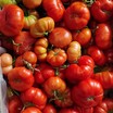 Atalık Domates Tohumu (Yerli) - 2