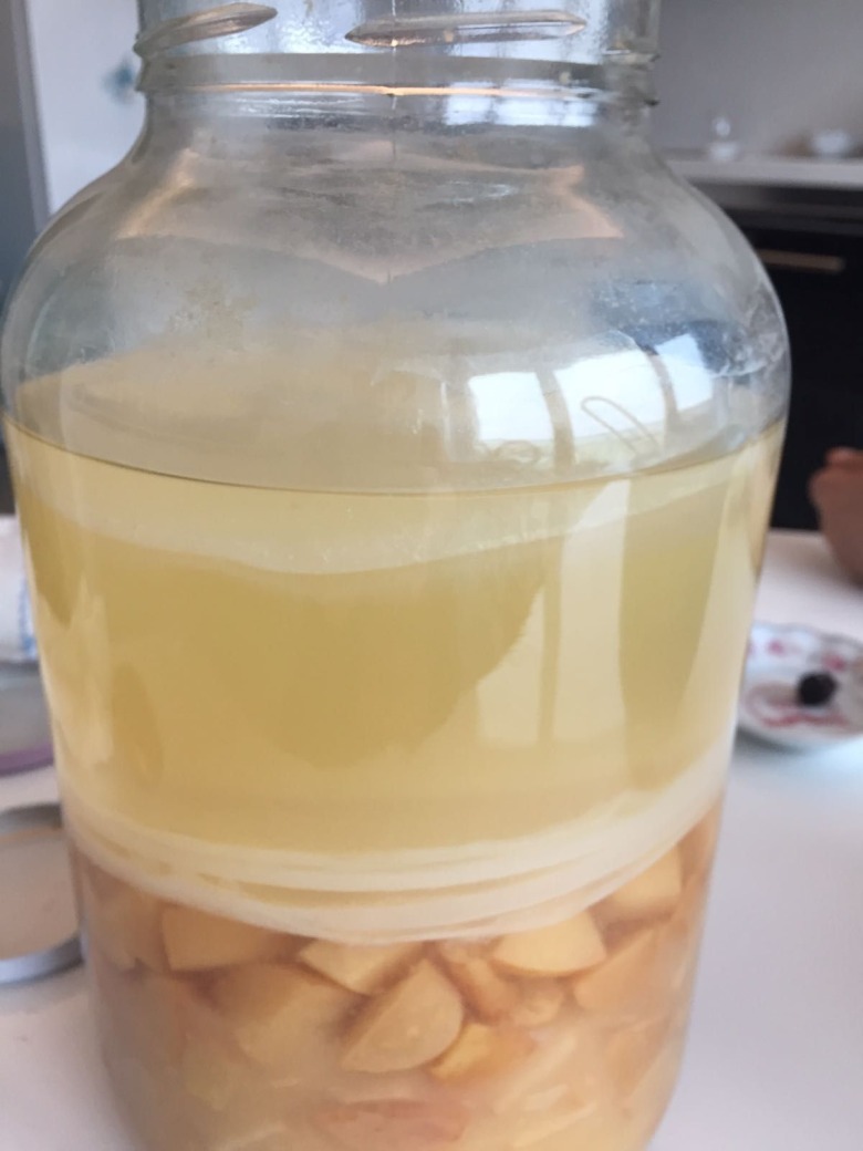 Sirke Anasi (Sirke Ebesi)  1Adet