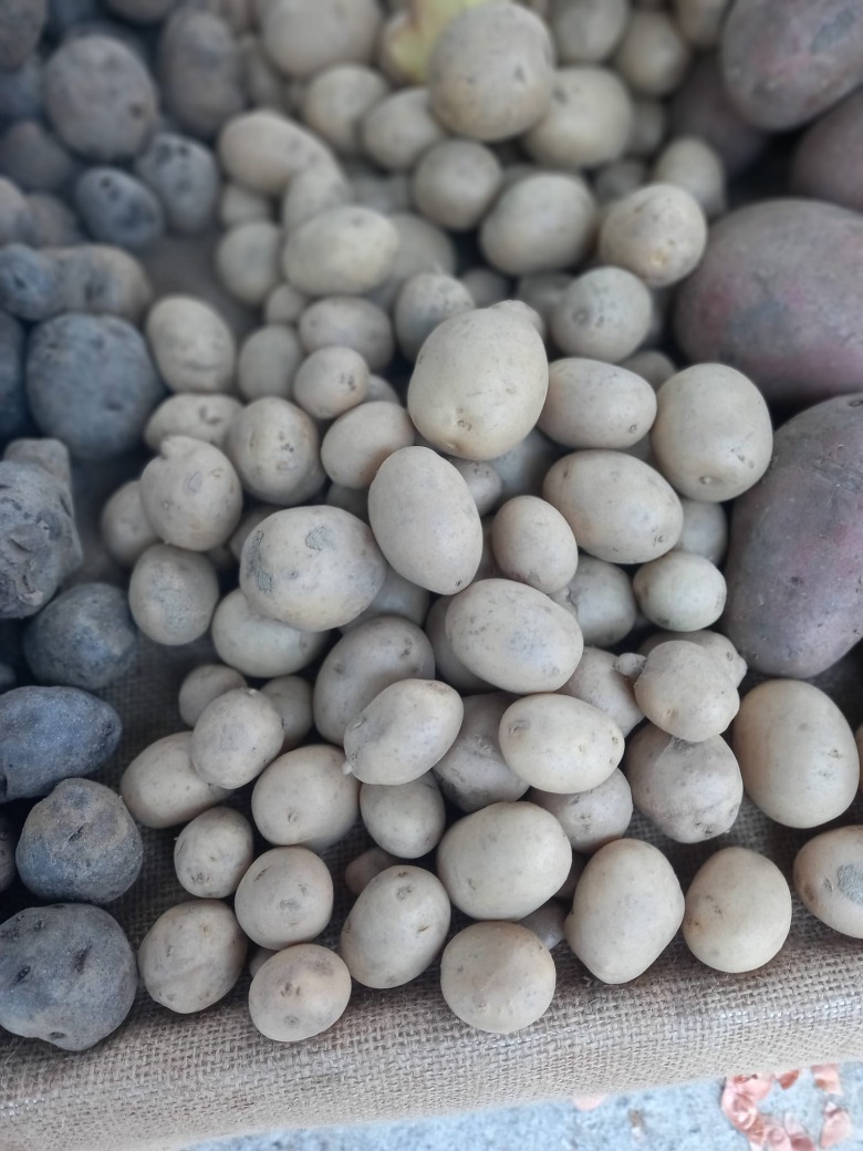 Organik Mini Patates (Baby - 3 Kg)