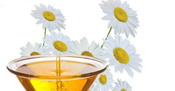 Ev Yapimi Papatya Yaği 100Ml 