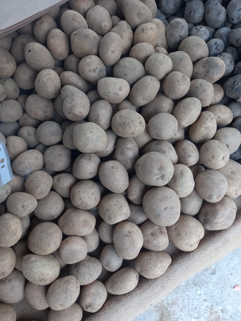Organik Haşlamalık Patates (Sarı - 3 Kg)