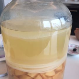 Sirke Anasi (Sirke Ebesi)  1Adet