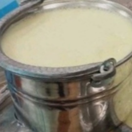 Kandıra  Manda Yoğurdu 