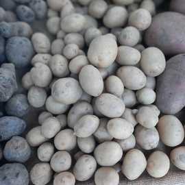 Organik Mini Patates (Baby - 3 Kg)