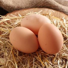 Köy Yumurtası 1 Adt