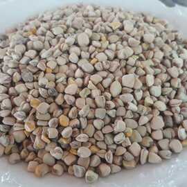 Organik Deli Bezelye (Kurutulmuş)