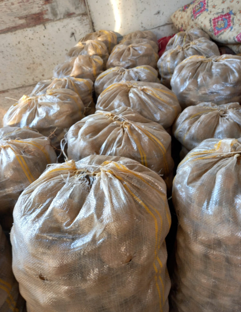 Organik Sarı Patates 25 Kg (1 Çuval)