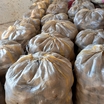 Organik Sarı Patates 25 Kg (1 Çuval)