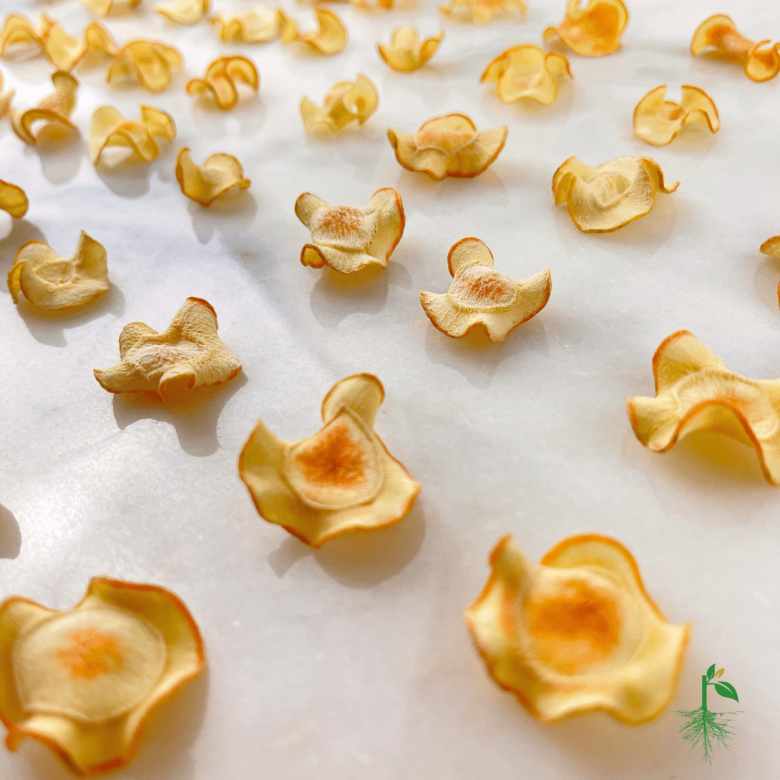 Organik Kurutulmuş Bütün Havuç Dilimleri, Kurutulmuş Kokulu Doğal Meyve, Yüksek Kalite Garantili 50 Gr.