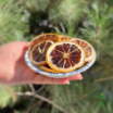 Kurutulmuş Limon Dilimleri, Şeker Katkısız, Vegan, Yüksek Kalite Garantili 1000 Gr.+ - 3
