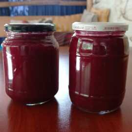 Bahçeden Doğal Erik Marmelatı