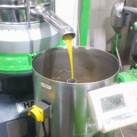 Filtresiz Natürel Sızma Zeytinyağı 