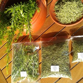 Kurutulmuş Biberiye (Yeşil Renkli)