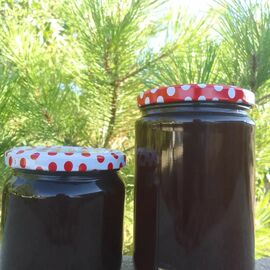 Kozalak Şurubu Büyük