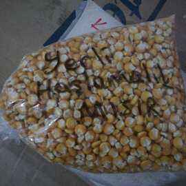 Mısır Patlamalik Mısır Haşlamalik Mısır Çorbalık 