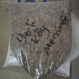 Yerli Köy Yeşil Mercimek 