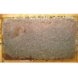 Petek Bal Yuzde Yuz Dogal