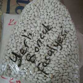 Yerli Köy Boncuk Fasulyesi