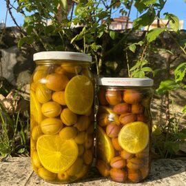  Muğla'dan Gurme Yağlı Zeytin 