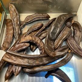  Doğanın Mucizesi Kuru Keçiboynuzu (Harnup) 1Kg