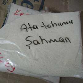 Yerli Ata Tohumu Şahman Ekmeklik Poğaçalık Böreklik Akıtmalık Un