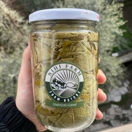 Asma Yaprağı 500 Gr