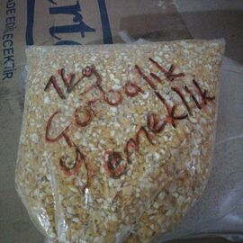 Yerli Çobalık Yemeklik Doğal Günlük Ürünlerimiz 