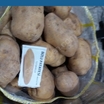 Patates Tohumu Köy Bolu Agria - 4
