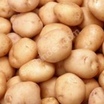 Patates Tohumu Köy Bolu Agria