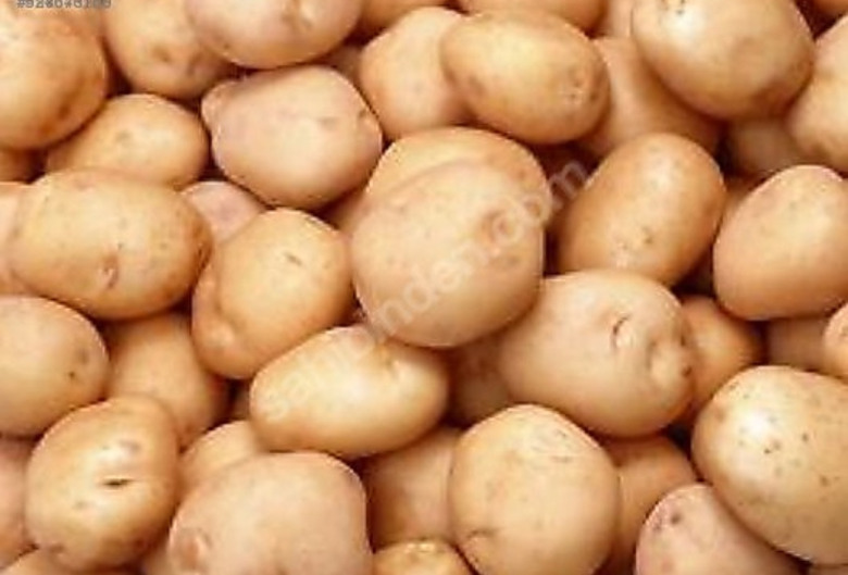 Patates Tohumu Jeli Jelly Bolu 