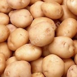 Patates Tohumu Jeli Jelly Bolu 