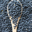 Glütensiz Siyah Mercimek/beluga 500 Gr