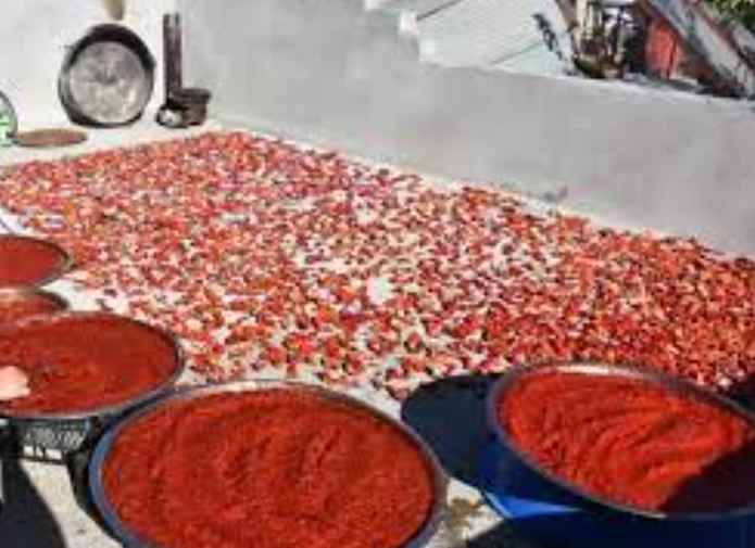 Hatay Köy Usulü Bibersalçası Güneş Kurutma 1 Kg