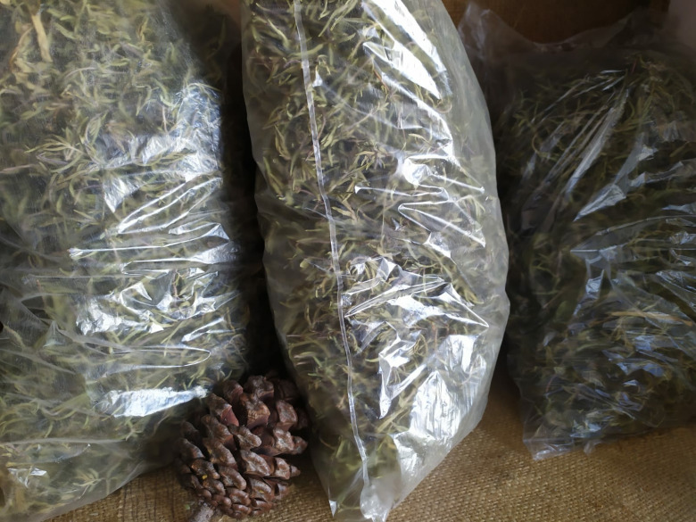 Kuru Dağ Kekiği - Zahter (Geleneksel)