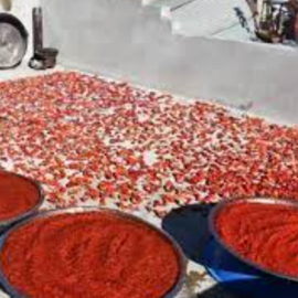 Hatay Köy Usulü Bibersalçası Güneş Kurutma 1 Kg