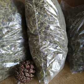 Kuru Dağ Kekiği - Zahter (Geleneksel)