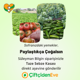 Karışık Taze Sebze Kasası