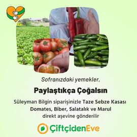 Aşevine Karışık Sebze Kasası (Domates, Biber, Salatalık, Marul)