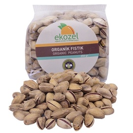 Sertifikalı Organik Antep Fıstığı