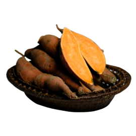 Tatlı Patates Turuncu Fide (50 Adet)