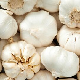 Sarımsak Satıyorum  