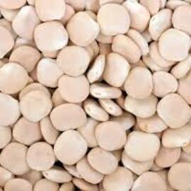 Organik Acı Bakla Satıyorum