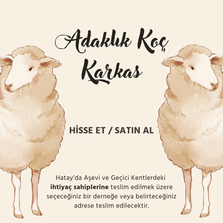 Adaklık Koç Karkas