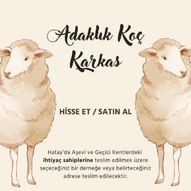 Adaklık Koç Karkas