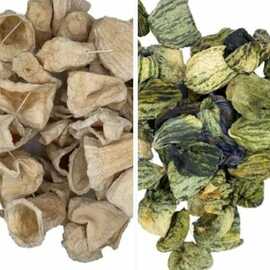 Kabak Ve Acur Kurusu 