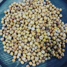 Elaziğ Ağin Leblebisi 