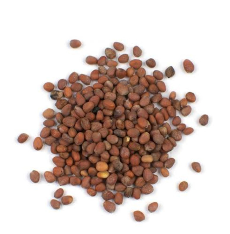 Kırmızı Turp (50 Gram)