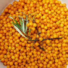 Yabani İğde Meyvesi 250 Gr