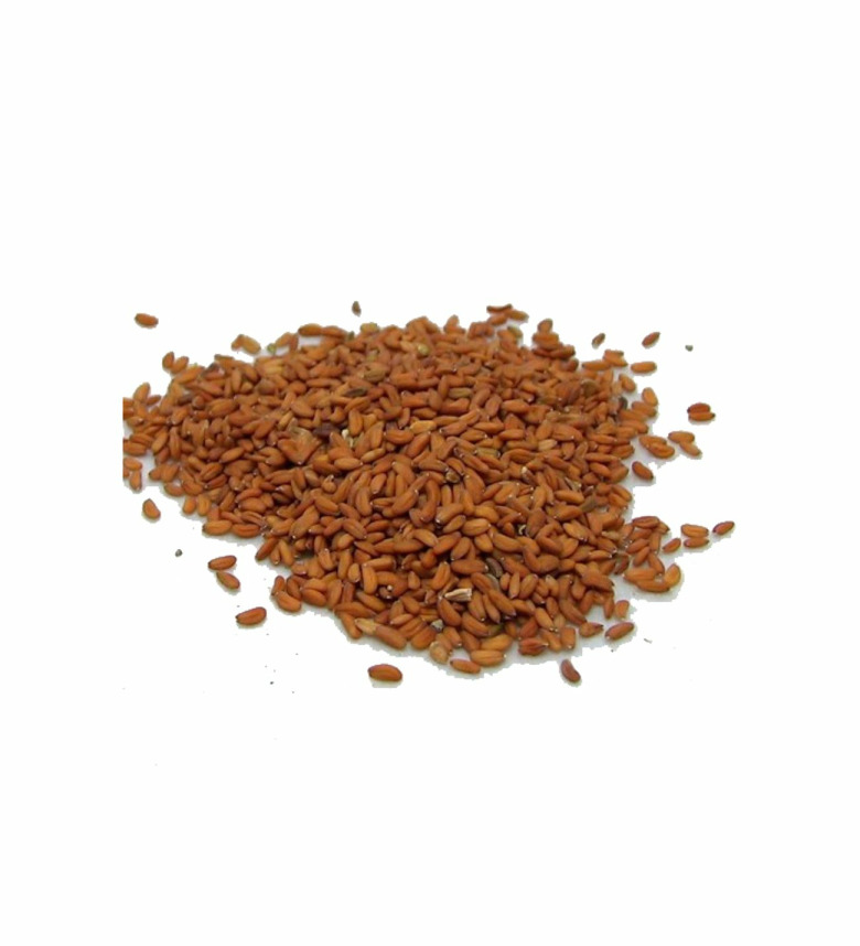 Tere Tohumu (20 Gram)