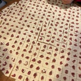 Gökçeada Ecem Mantı